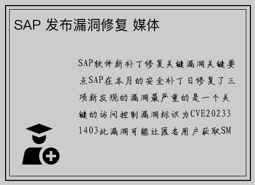 SAP 发布漏洞修复 媒体