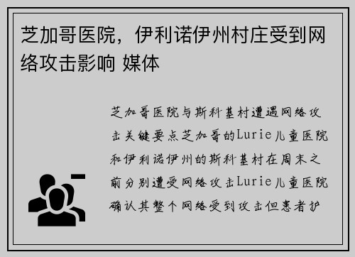 芝加哥医院，伊利诺伊州村庄受到网络攻击影响 媒体